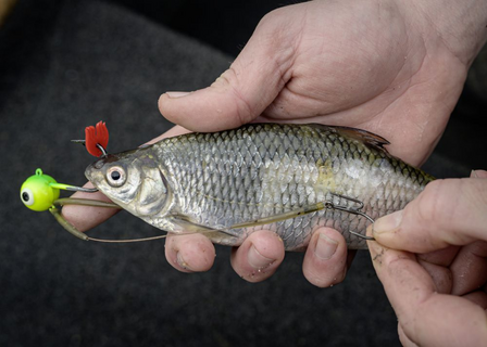 Claw Hook Camouflage Quantum Mr. Pike